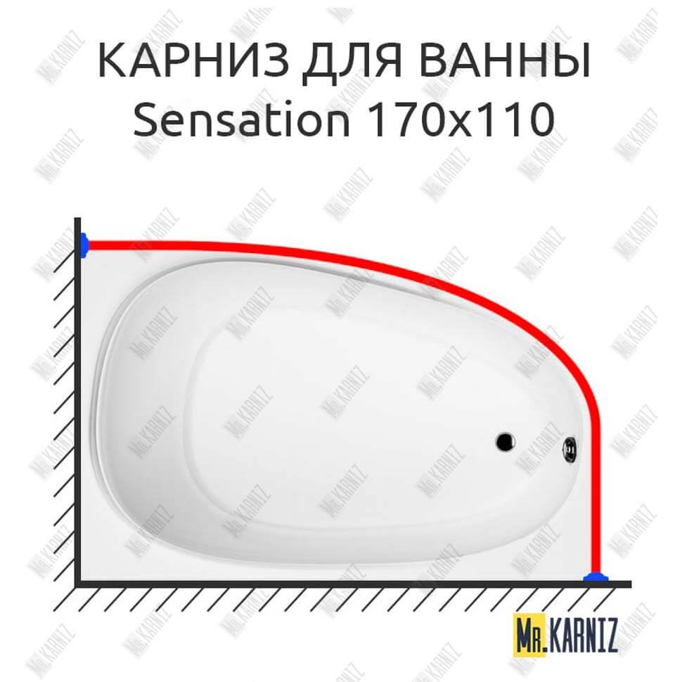 Карниз для ванны Am.Pm Sensation 170х110 Усиленный 20 мм MrKARNIZ Карниз для ванны Am.Pm Sensation 170х110 Усиленный 20 мм MrKARNIZ